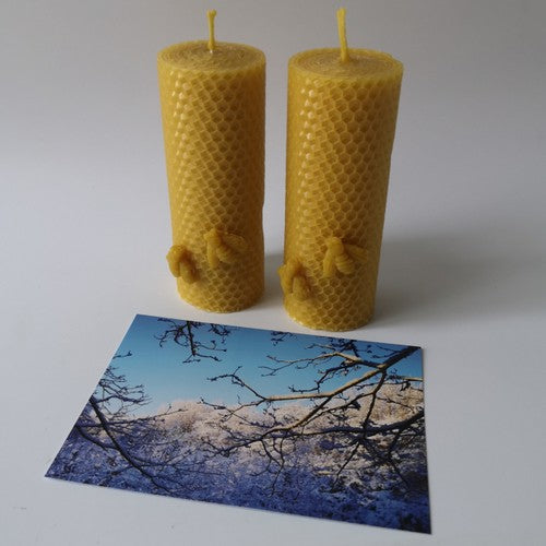 Christmas gift. Beeswax candles