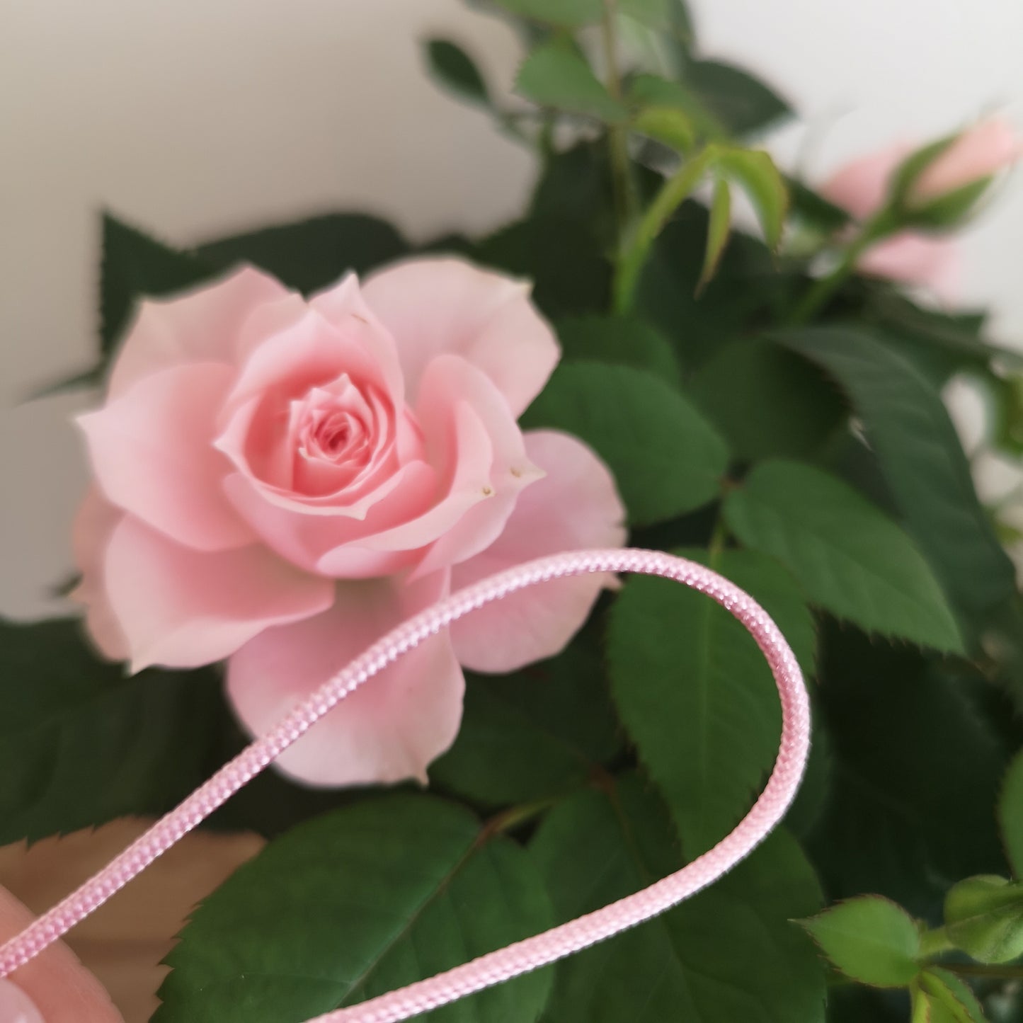 1.5mm nylon pink cord